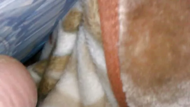 とともにミントとスナッチ尻で肛門 アダルト 女の子 の ため の